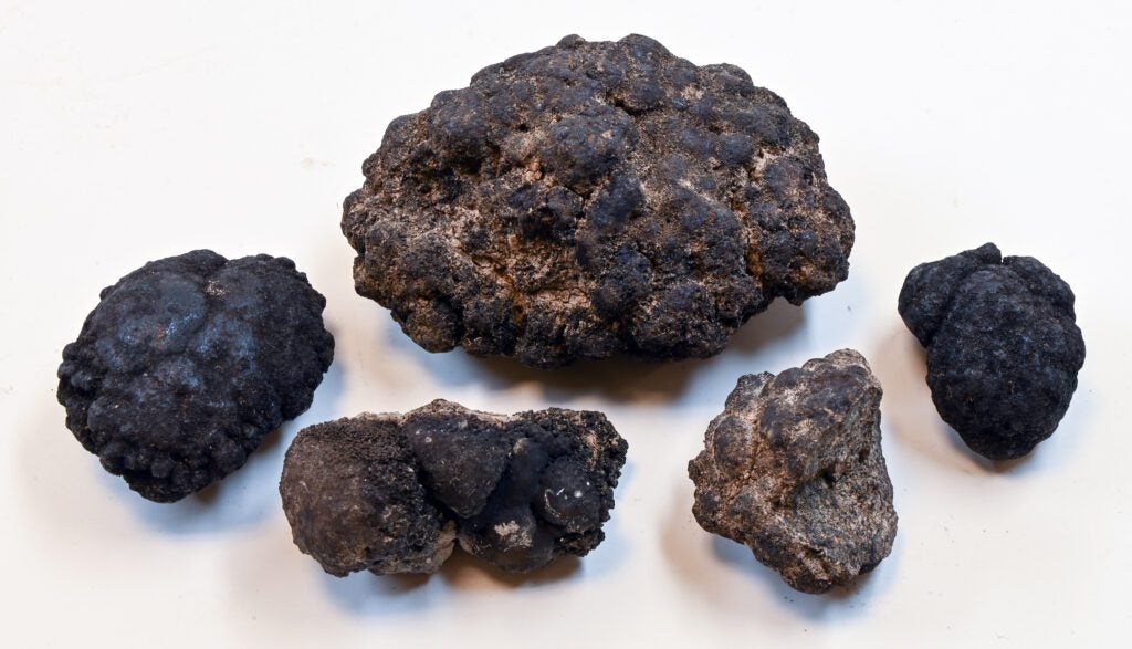 Polymetallic Nodules found in the deep sea.